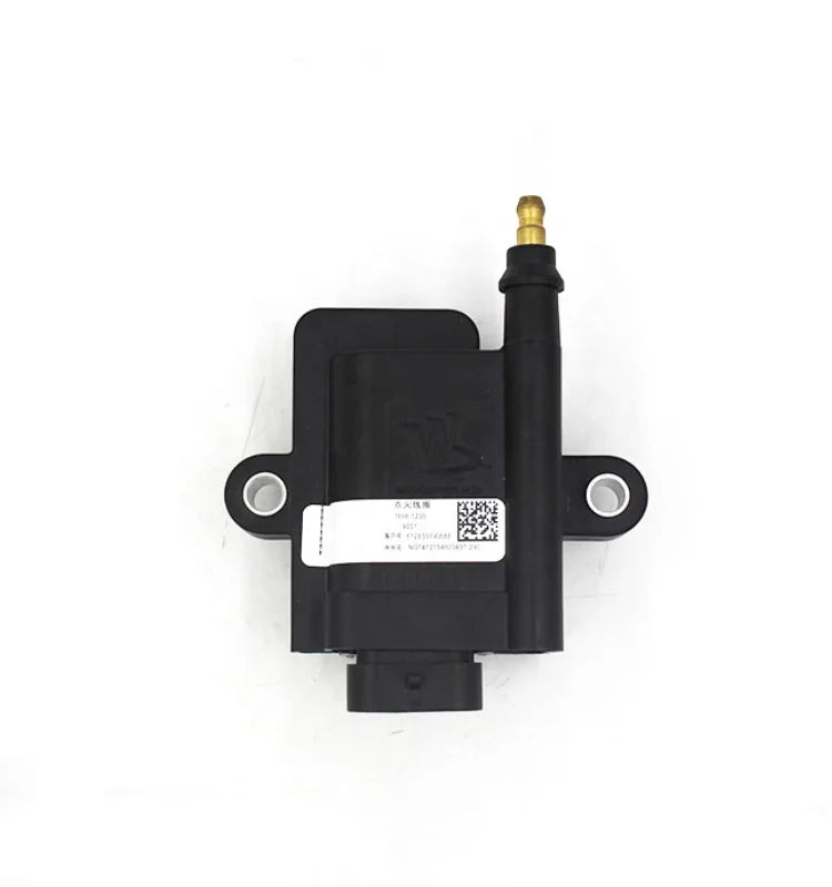 High Quality Ignition Coils 612600190686