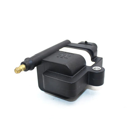 High Quality Ignition Coils 612600190686